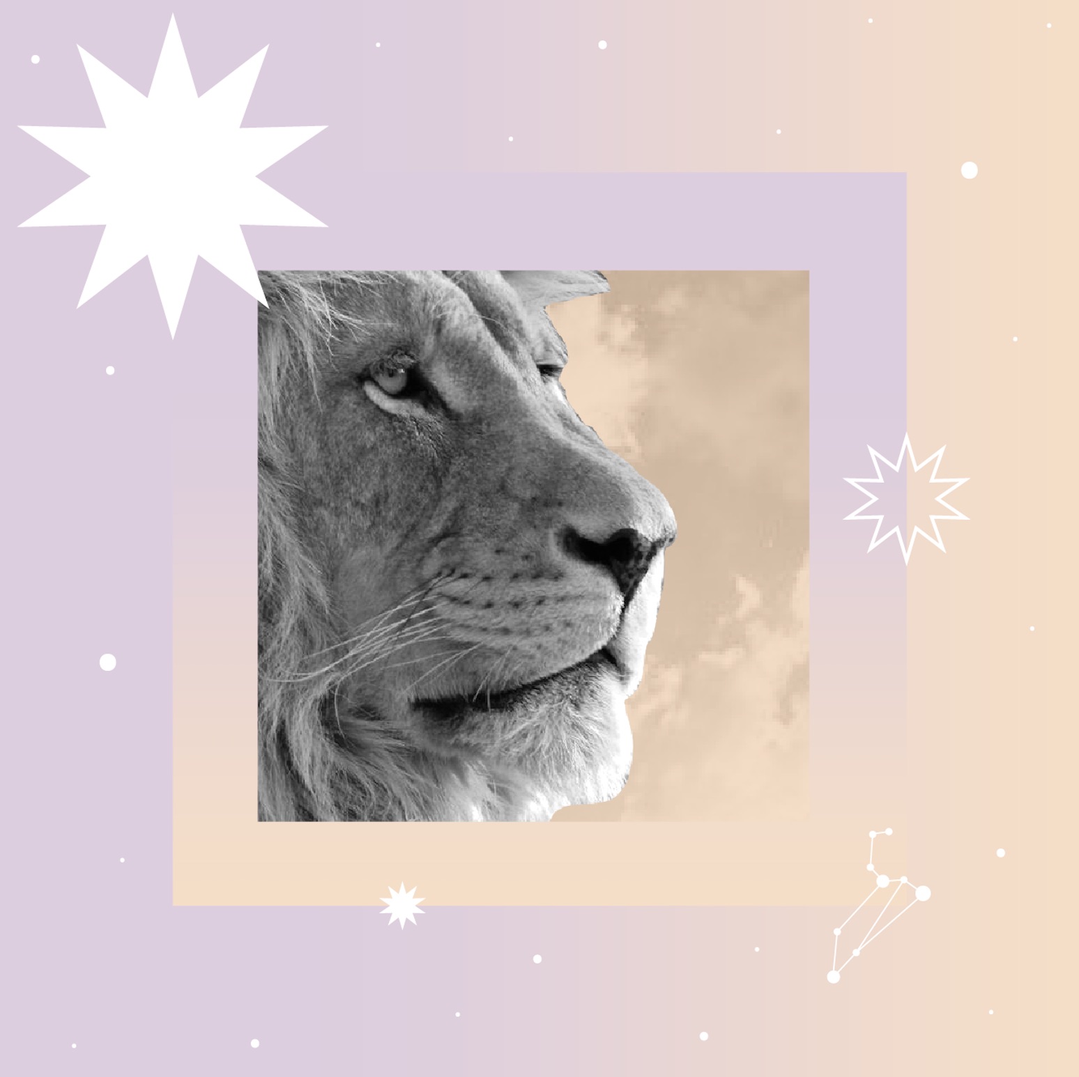 August Horoscope Purchase Your Report at