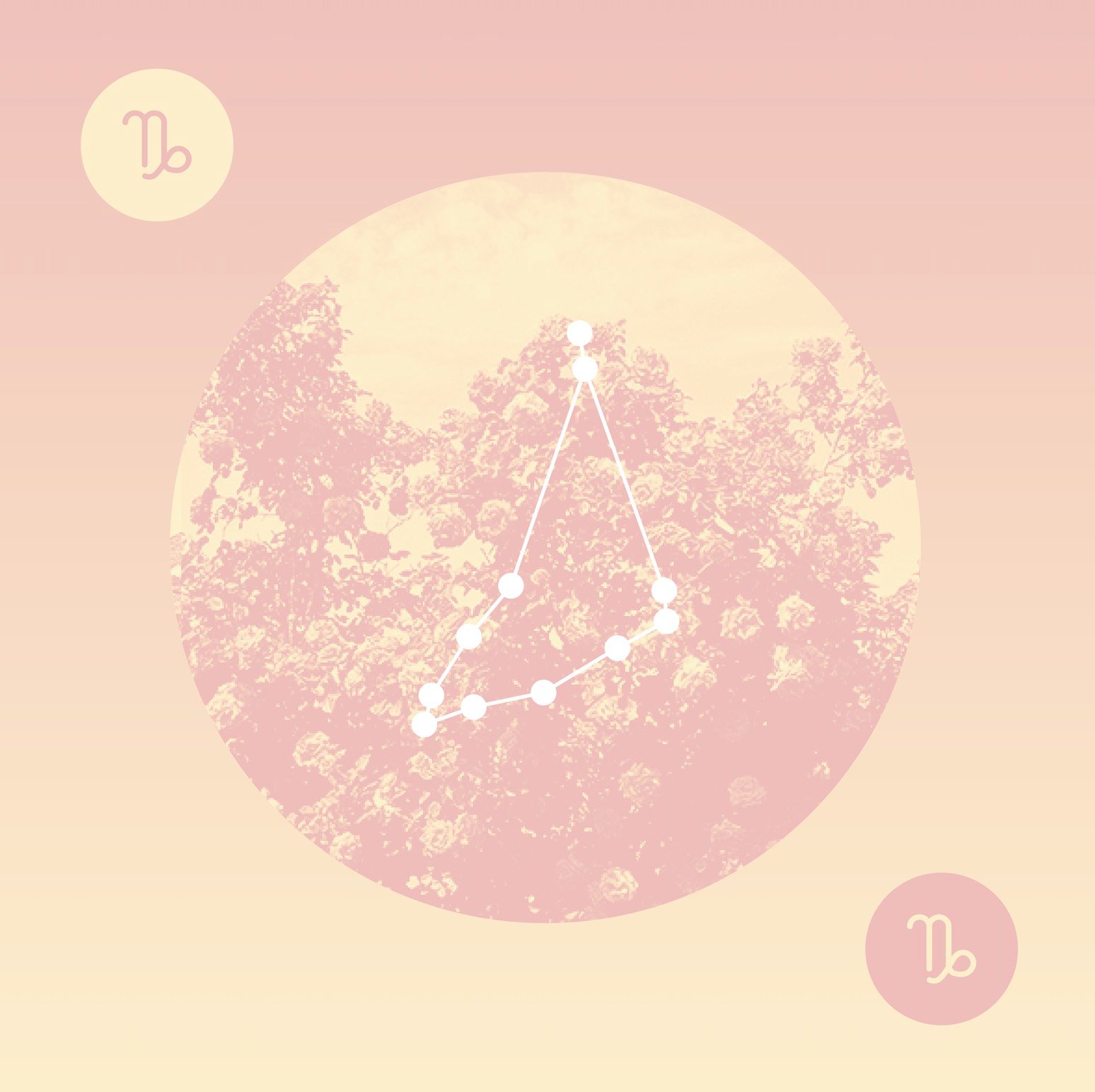 January Horoscope | Purchase Your Report at Horoscope.com
